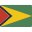 Guyana Flag Icon